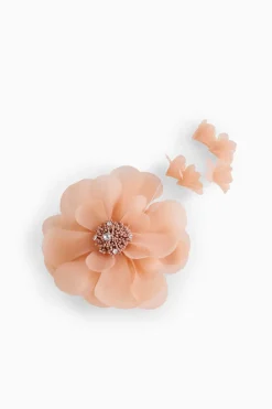 Clip con magnete
