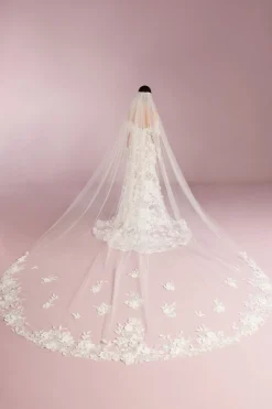 Velo in Tulle